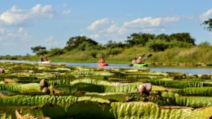 Internet en Santa Fe